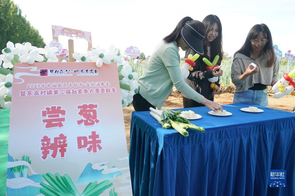 宝马在线网站